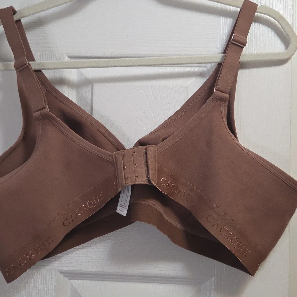 Cacique clay color